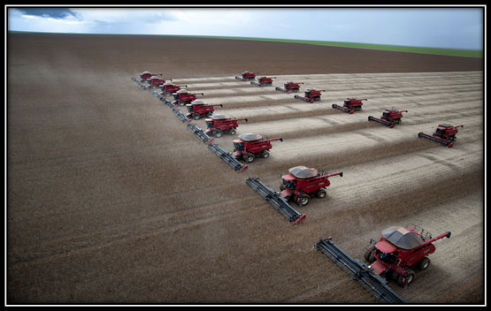 The Agricultural Tour of Brazil